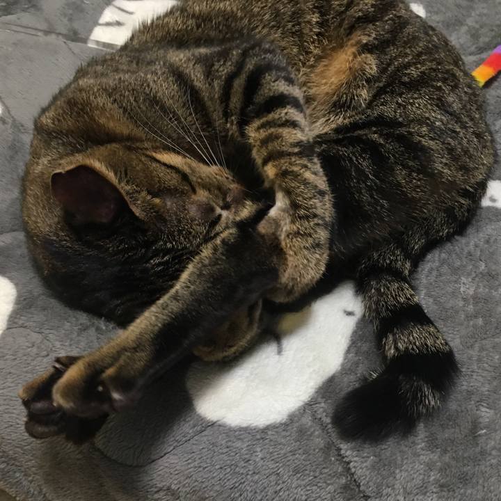 A67bdcfd 30a0 4952 9381 1aae867a9fb7 1544492103323