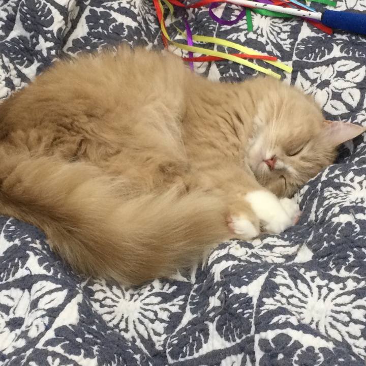 A67bed6d f142 4026 a8e6 bfd0075e93e8 1639316112022