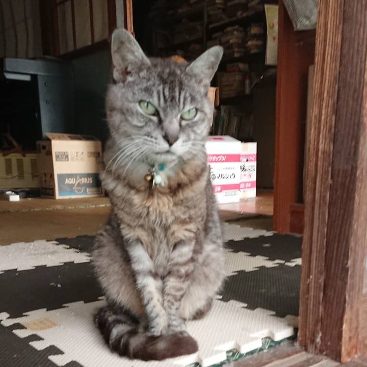 A67bedee ac57 4deb 960c daa7941c8a83 1567806525139