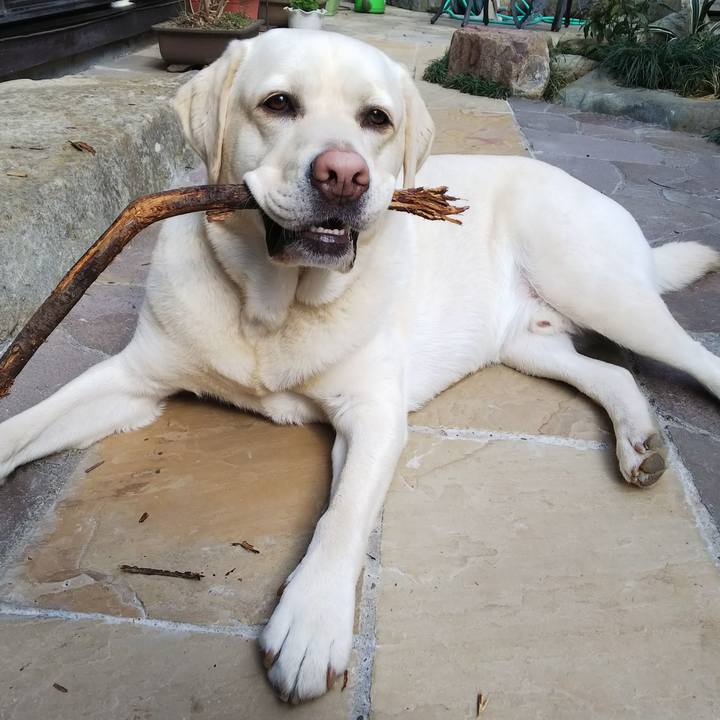 A67c0dda a333 4680 987b b6e9d42d87f4 1551417749337