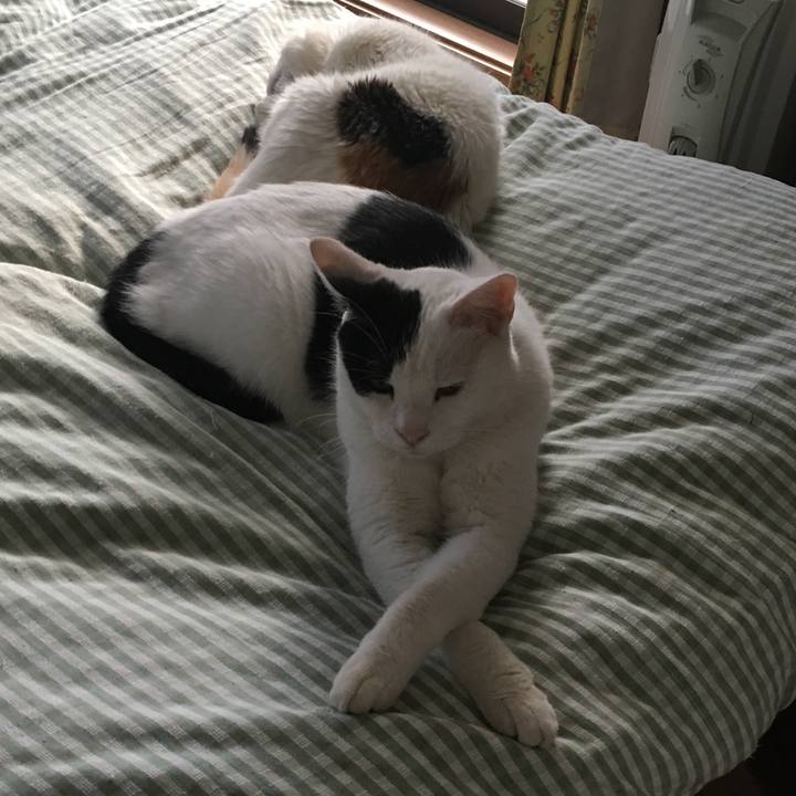 A67c4c2d e51c 4be9 a562 517bf695b0e0 1509777050508