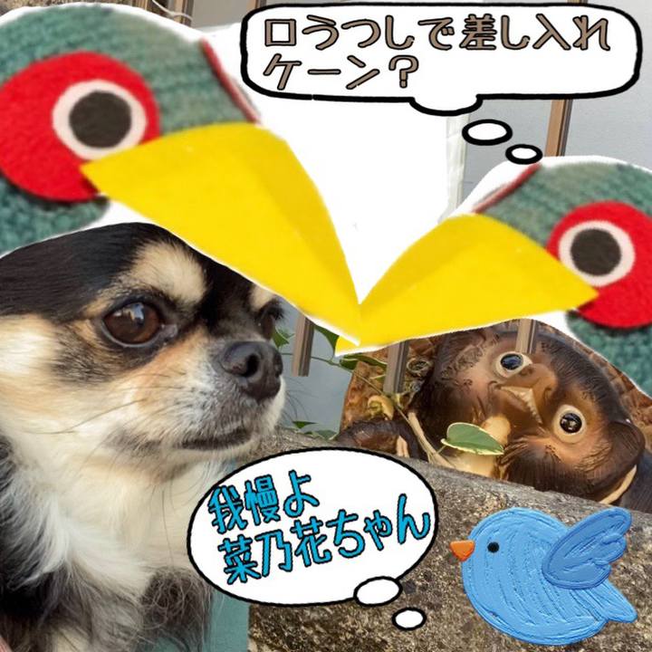 A67c520f 5cf5 445d 8a04 fbf3eb6a9e7a 1654436159395