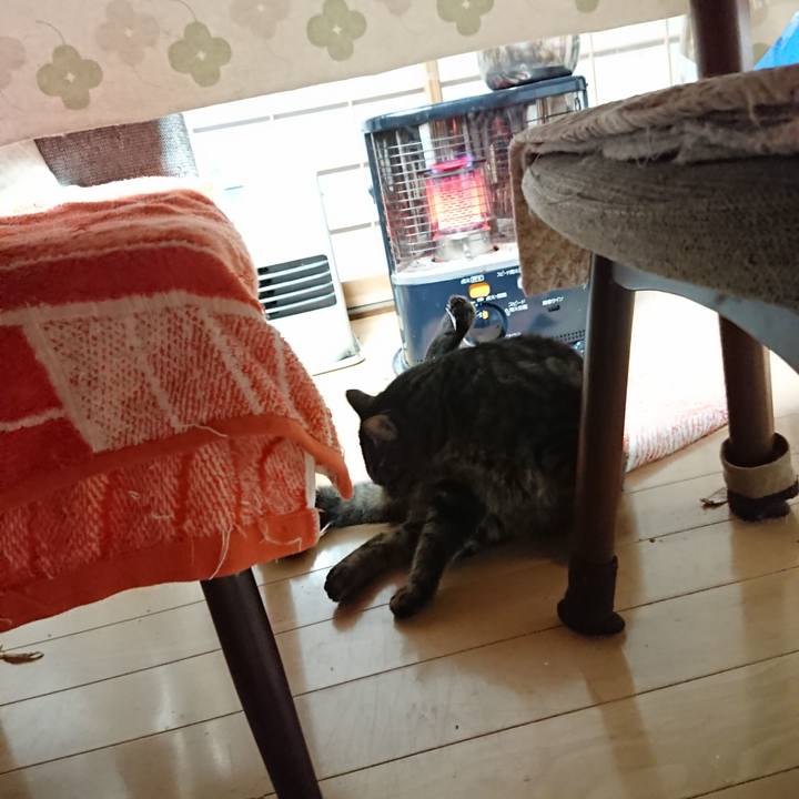 A67cb744 f8b9 4c04 a29a 12bf3c0a960f 1638565536753