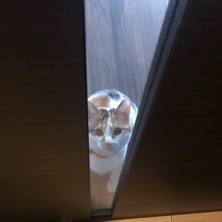 A67cb9fa 2d80 434b 9494 d38f48027ebc 1583451999143