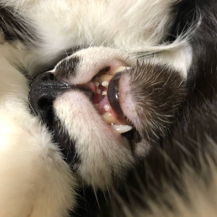 A67cd4fe 85ff 4bc7 8d04 80a31d3e1d1d 1602862089588