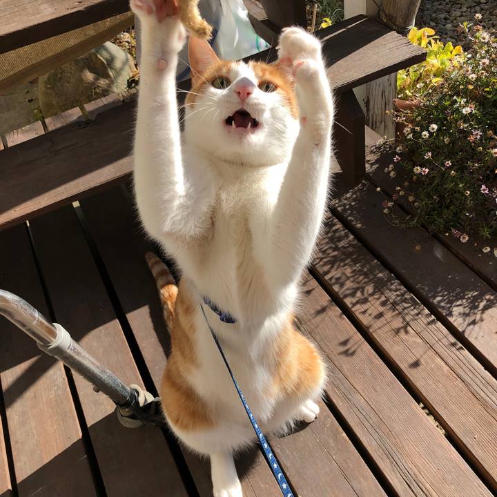 A67ce6cf ae24 49dd 95b8 83c8cfd69260 1546401123922