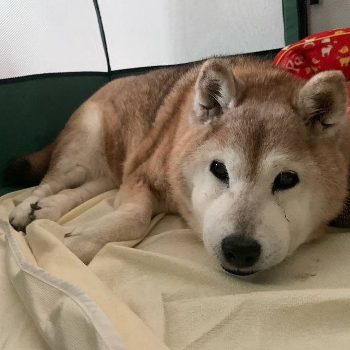 A67d266a e73f 48f9 96fc b80e0629780e 1684287307865