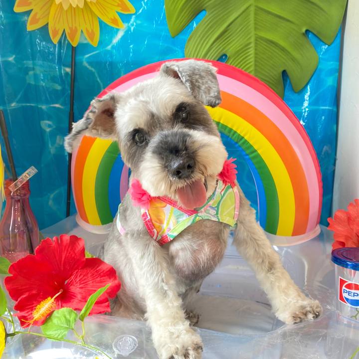 A67d4e3d 0b8e 4400 afa2 80641fcfc8c2 1751373817920