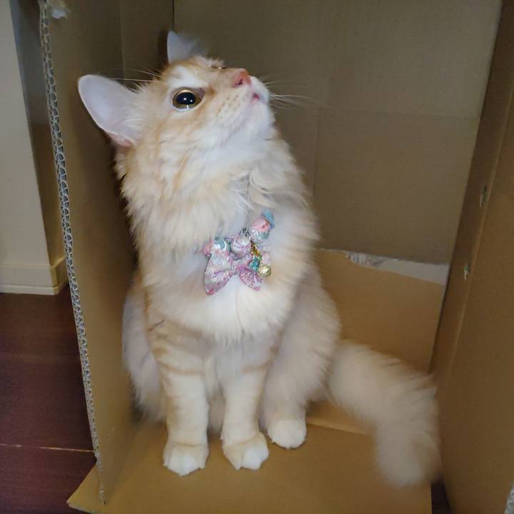 A67d5966 1ee6 4f43 a88d 06801621f738 1661952956490