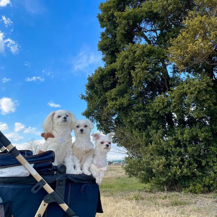 A67d8dce 92ff 4bfb 9bcd b6b25981cb5d 1647229062141