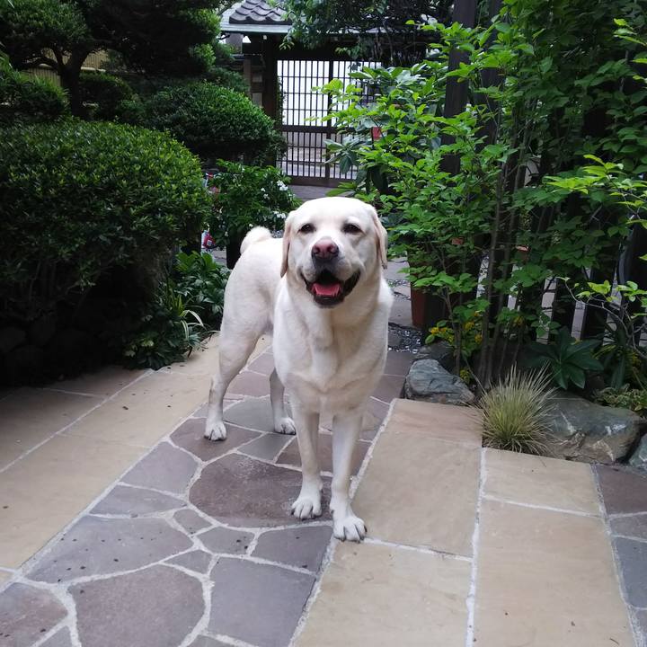 A67dded8 700b 4afa a0d5 c6962cff1d06 1559379059980