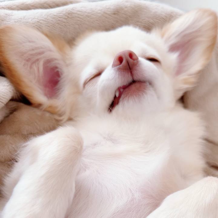 A67de5ef 086c 414c 9e9e 227e76d16e6a 1689250566397