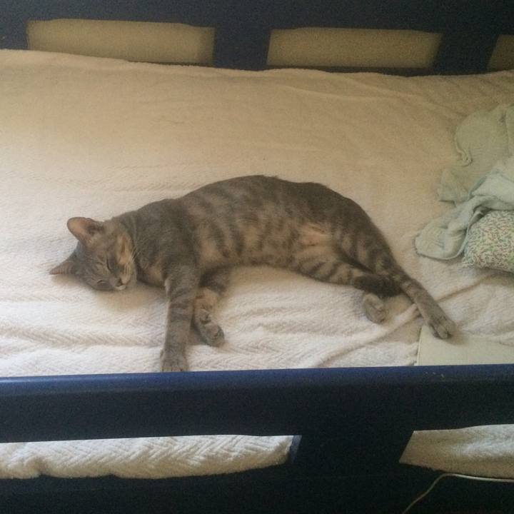 A67e2c44 9b02 4520 b09b 762c2a9919cf 1533860106658