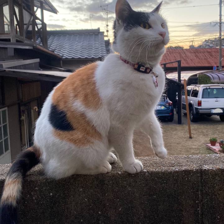 A67e44a4 1ab2 47d4 97c4 f0787b9e9fe9 1641509858478