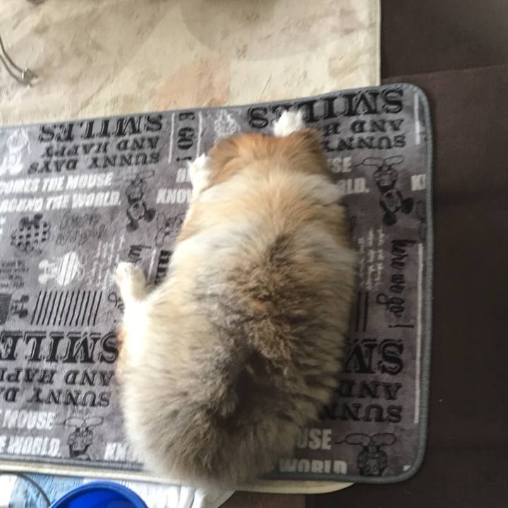 A67e48f1 f915 4db9 b699 c909c9ef1cb0 1569071480961