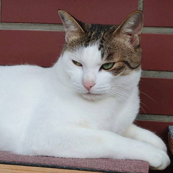 A67e51cd c099 43e1 bf8c e59fc1275e8d 1756729146213