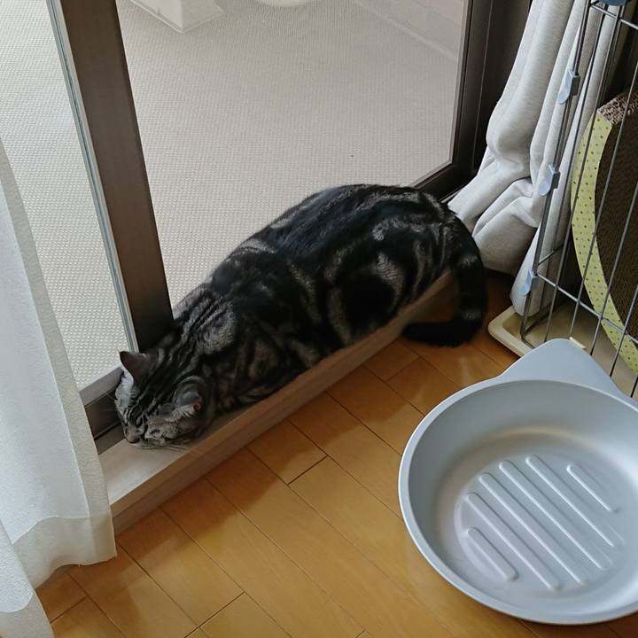 A67e9585 7be5 44cb 8dd6 6252a48e9dfe 1591587088825