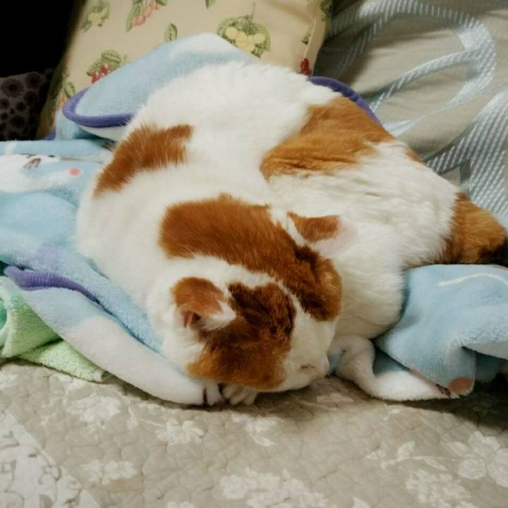 A67e968d 63b7 4d2d a5e2 9a81ae8e7b7e 1528542731905