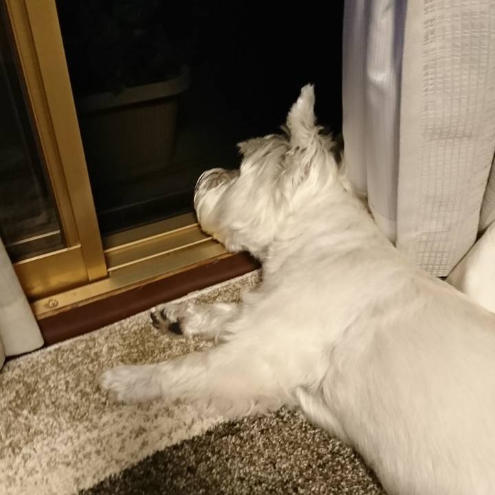 A67ec321 8ec0 4934 b379 5bc97982f003 1531315874908