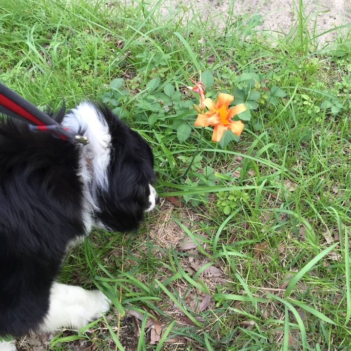 A67ec85d 6797 47dc bf77 50376bcec21b 1530448226794