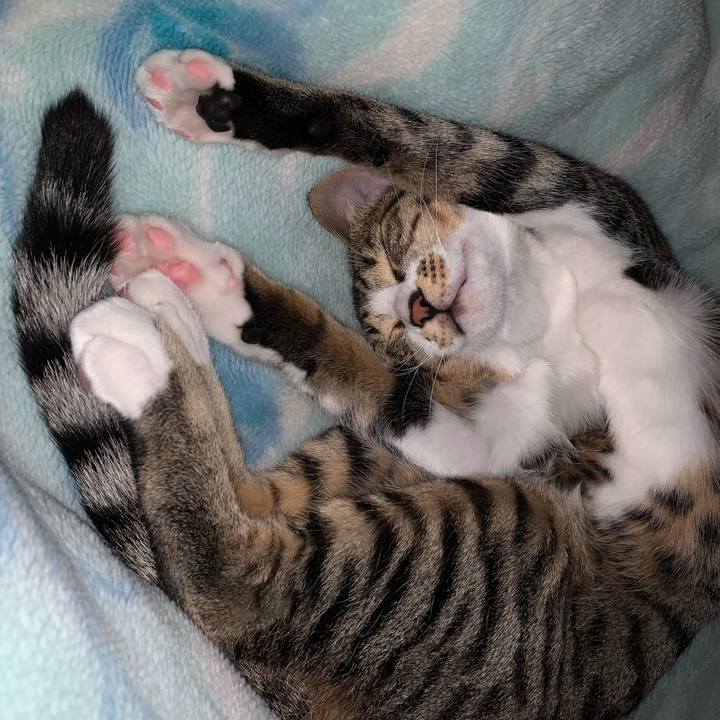 A67edcfc 3e7d 45b8 aace 076b2889a4f6 1590594422961