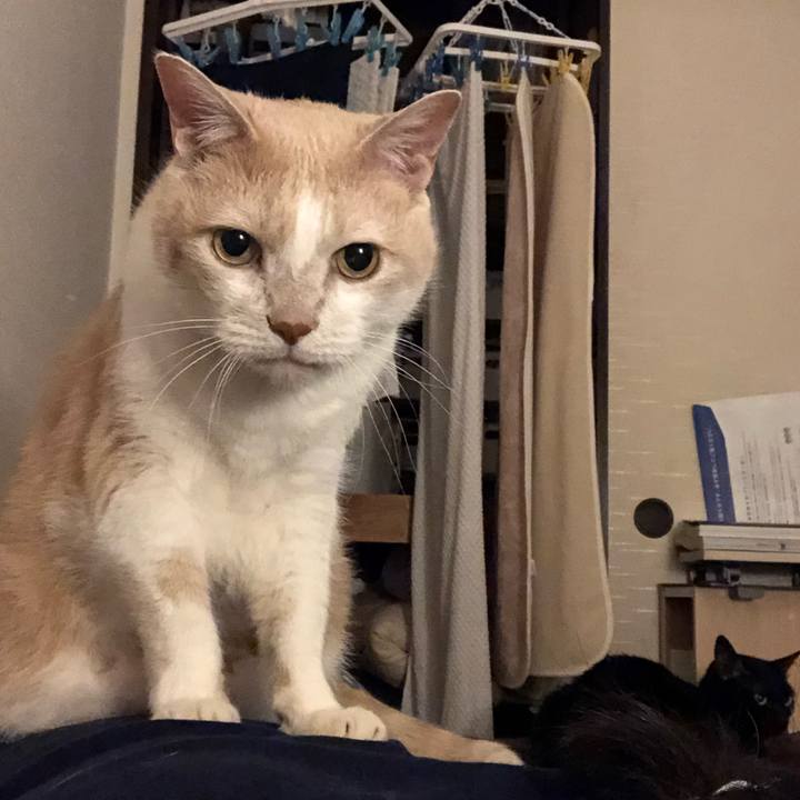 A67ef322 1d89 41a2 8e31 a0928ed89ddc 1619785916038