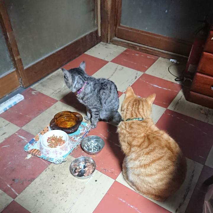 A67f41e1 1776 41b0 afab d93b22923e37 1582750892048