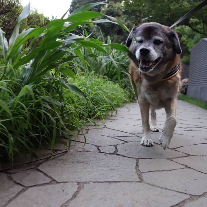 A67f6946 2f34 4a5c bed3 e59a6cd5715d 1674697282723