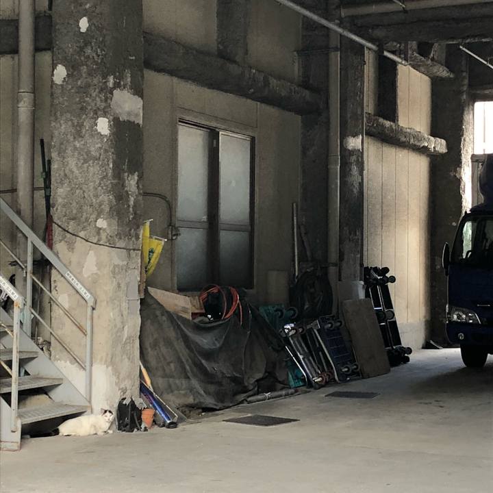 A67f6cf3 dee9 474d affe 1d8f8addce56 1531083904075