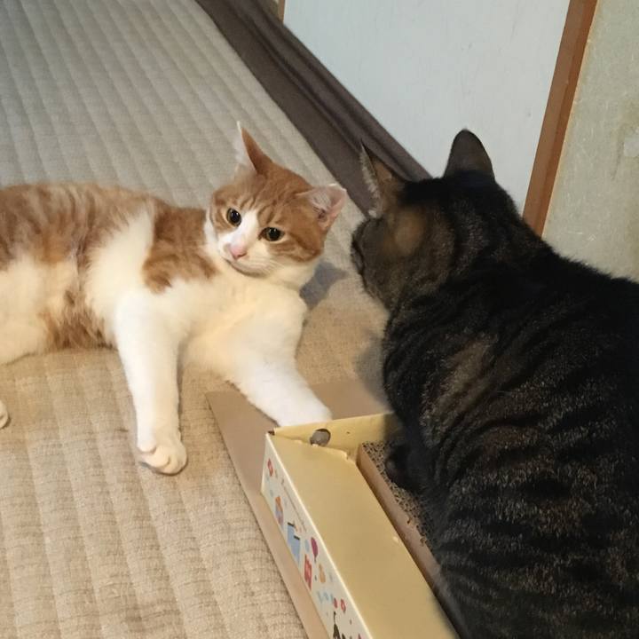 A67f9940 4e86 4e64 9df9 f90eefefa5f2 1509019948950