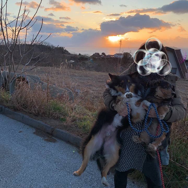 A67fbcee e60f 4816 bd4b c622652c062e 1577838400740