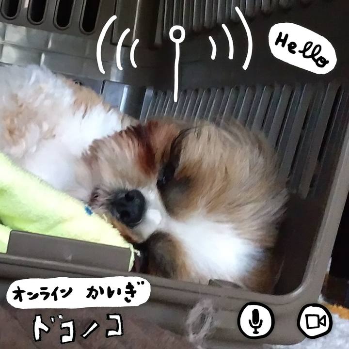 A680028a 2c01 4a3b b16c 8f578b5aa2e5 1590742960115