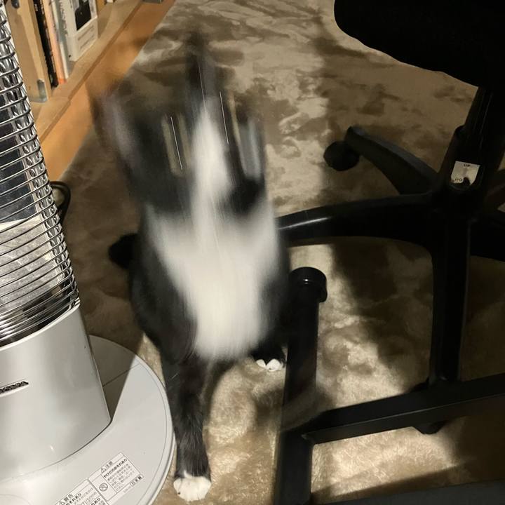 A6802840 8003 4a4d bc6c 343ae1f98a60 1677036984223