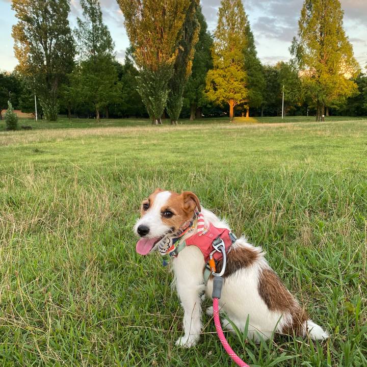 A6802ede 7eef 4f08 9df2 2c0e2661e568 1753009339793