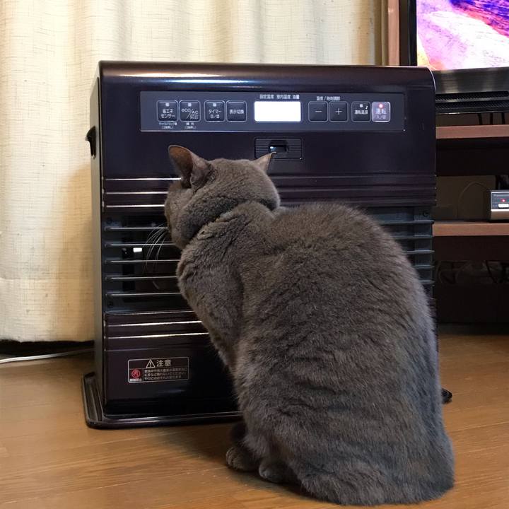 A6803283 3515 49da aa48 58e84b4af5d8 1574823108315