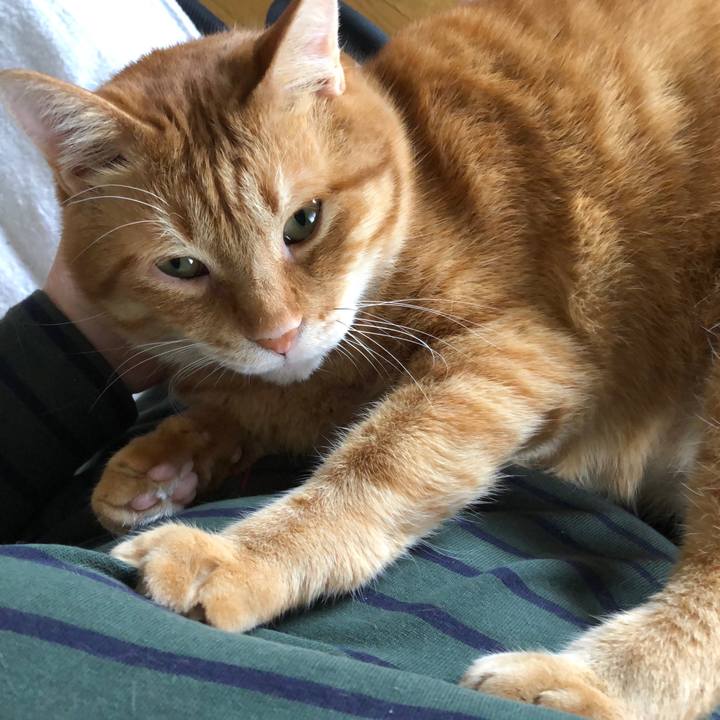 A68047c9 ef33 40bd a966 52cadac64899 1622270594974