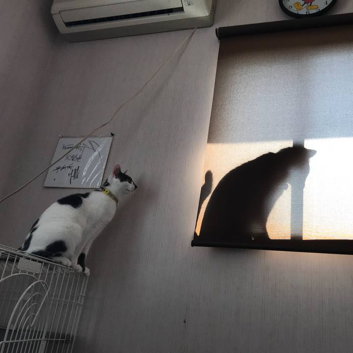 A6806c78 335d 4516 8f0f b12905b9dc07 1525264879453