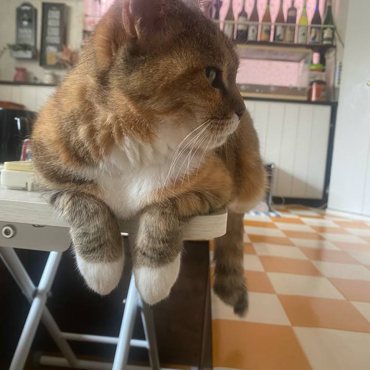 A6810285 e180 4d8e bf76 2d909f1275ea 1751872695978