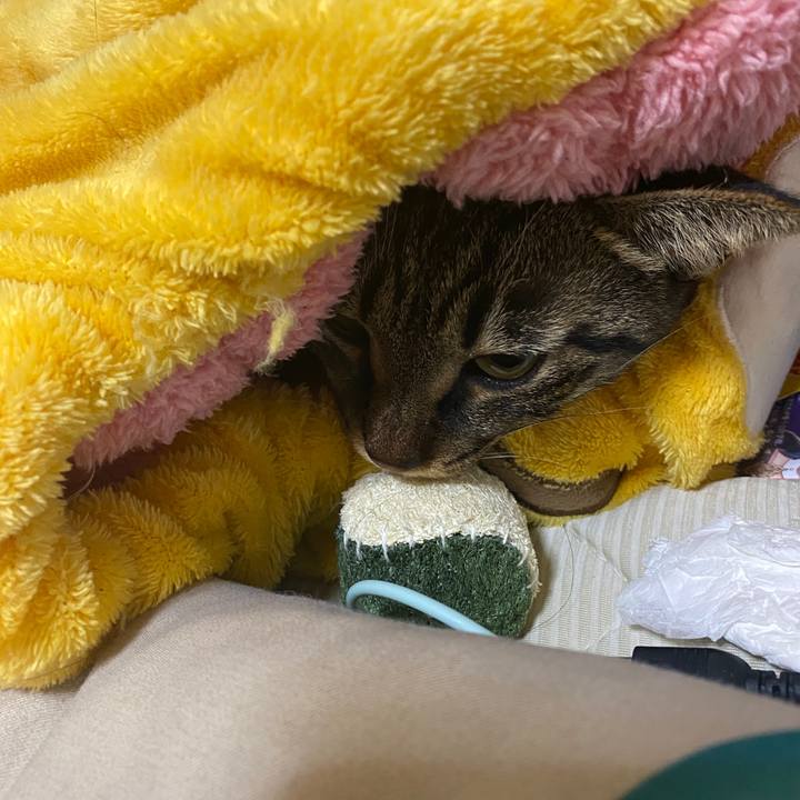 A6810f52 e319 4bd1 8e65 ef2b5e91dde8 1578371437761