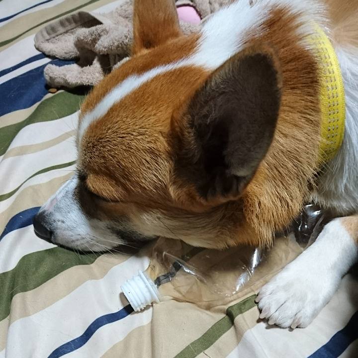 A681368c 4681 49a8 81c8 517939bf800c 1567943823062