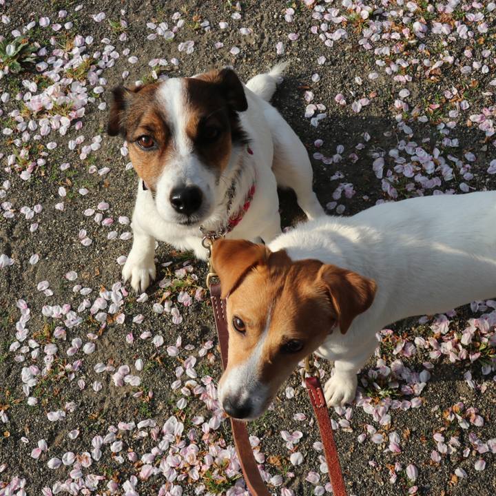 A6817374 c1fb 468c a72d 13420fdc5675 1522799609068