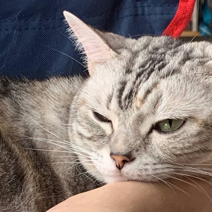 A681797c cebe 4791 9bd1 4cbe58cfdabc 1567300085512