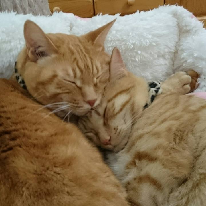 A681d6e0 611d 4941 89ca 99f2b349942f 1552400583786