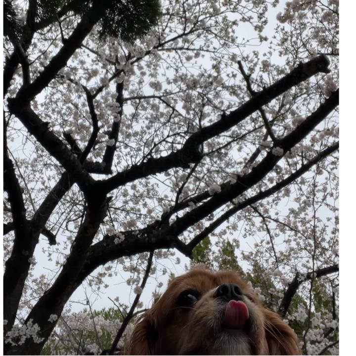 A6826e92 d414 40d5 9a56 640dce2adc07 1679701881913