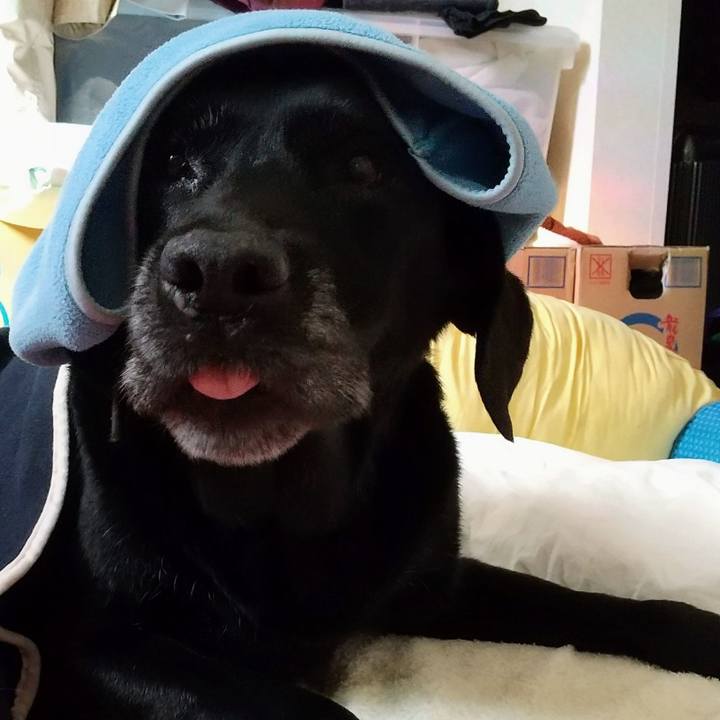 A68290c8 5f79 49fa 81b0 8ca925e97255 1699926659673