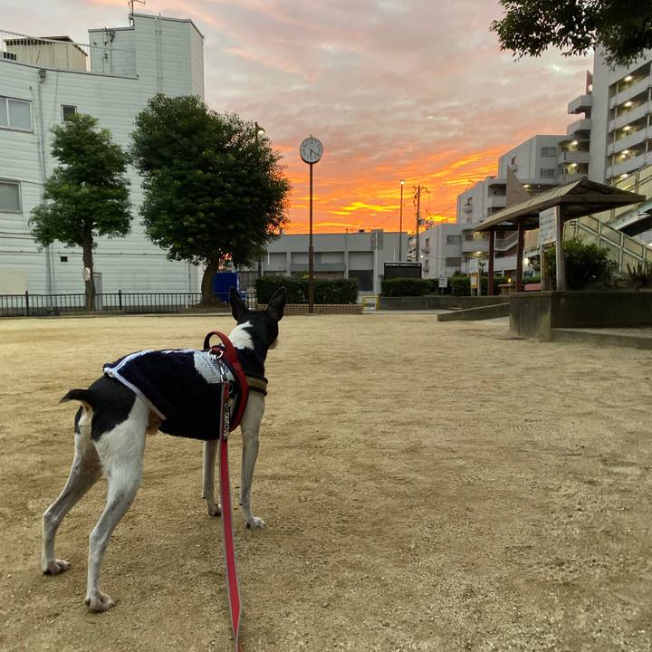 A68294dd a999 4776 b847 c56c662997fc 1604613894701