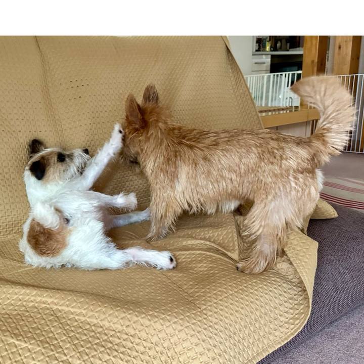 A6829fa3 a4e2 462e ae7e b4a88c9c9a4b 1723442643937