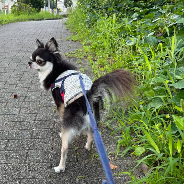 A682ad64 373b 4150 a339 f81b1b2f5ecd 1721490835624