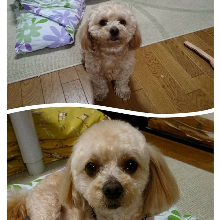 A682c909 bdd9 408c 8de9 050027a753fb 1524389717023