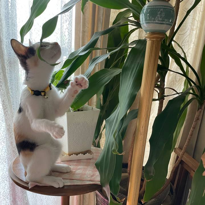 A682d064 335a 4379 b8d5 1bfb7136d1d2 1661479079265